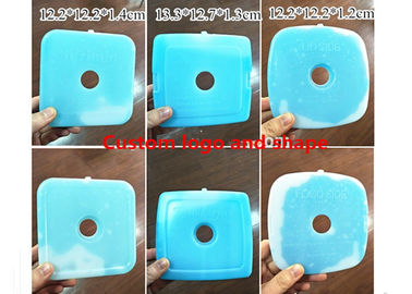 कस्टम ब्लू हार्ड प्लास्टिक आइस पैक 12.2 * 12.2 * 1.2cm भोजन के लिए