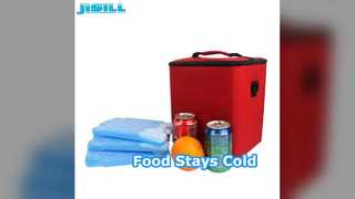 खाद्य ठंडा आइस पैक पुन: प्रयोज्य कूलर ईंट रखें